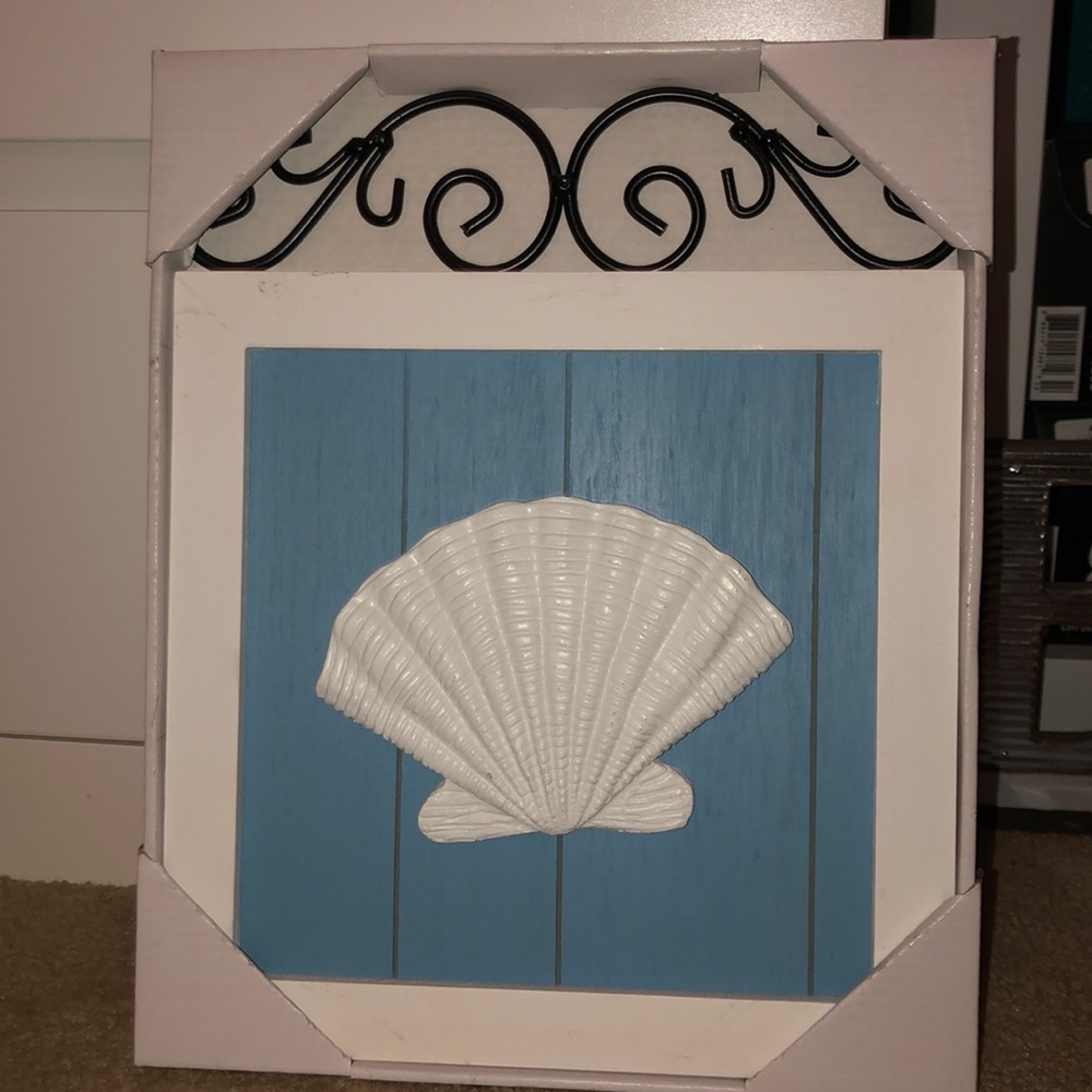 seashell frame